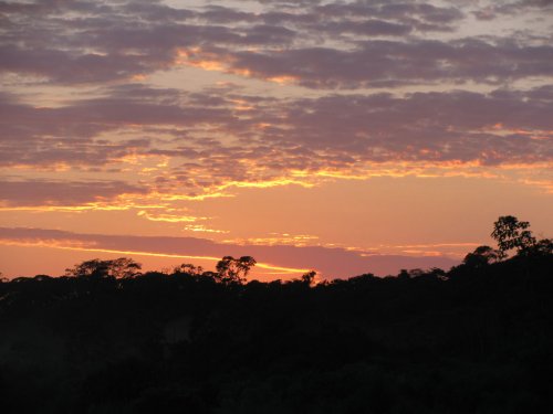 Arasa River. Amazon Rainforest