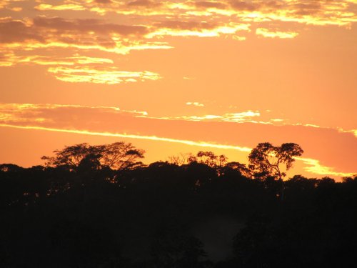 Arasa River. Amazon Rainforest