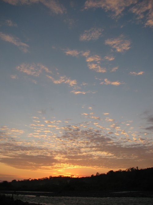 Arasa River. Amazon Rainforest